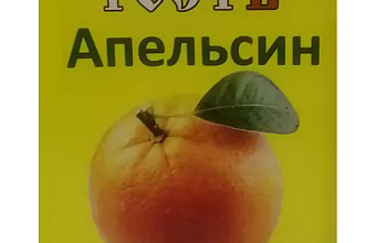 Сок Апельсиновый 0,2 л. ТМ "Гость" 